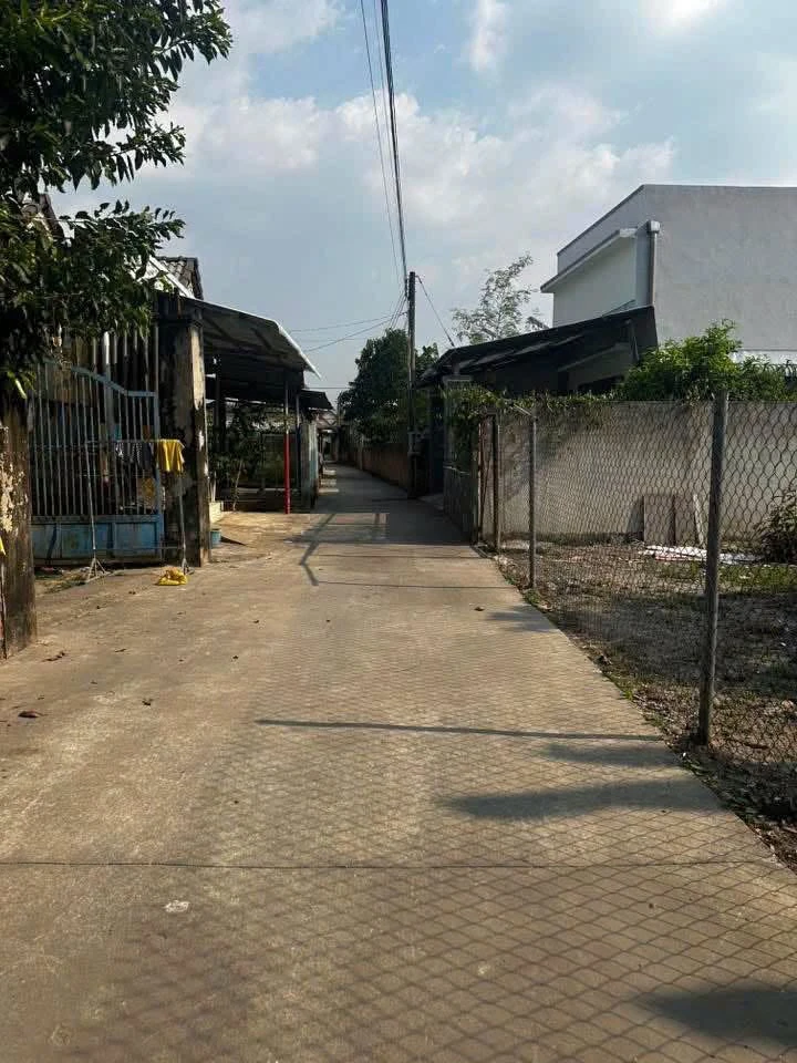 Bán đất Bình Mỹ 100m2 giá 2 tỷ - Ảnh 1