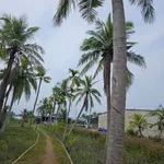 Bán đất mặt tiền QL60 Bến Tre 588,7m² 1 tỷ 590 triệu - Ảnh thu nhỏ 2