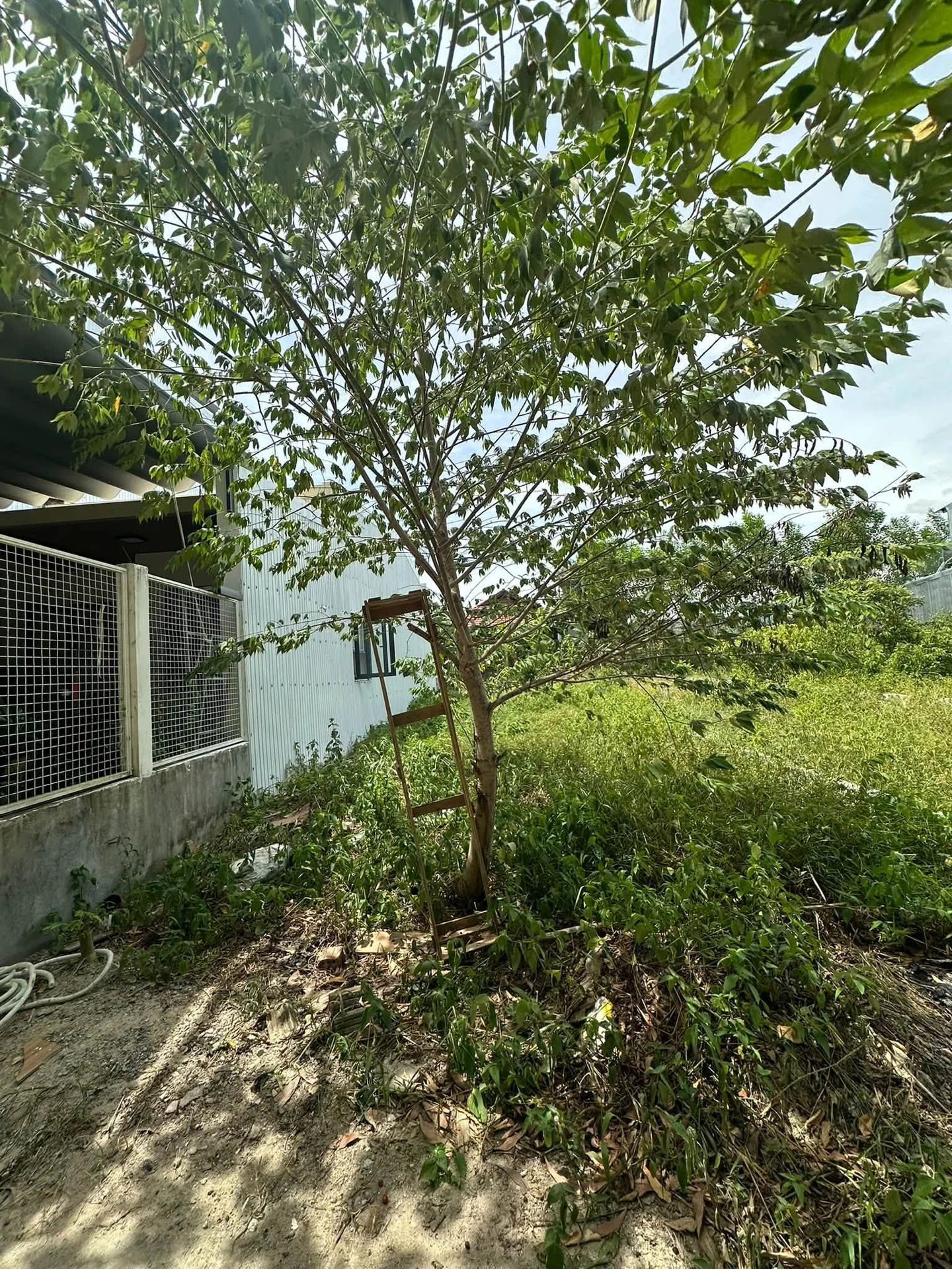 Bán đất thổ cư 122 m² Nam Thành, Đà Nẵng 1 tỷ 350 triệu - Ảnh 1