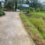 Bán 1000m² đất lúa chuyển đổi thổ cư Bến Lức, Long An - Ảnh thu nhỏ 1
