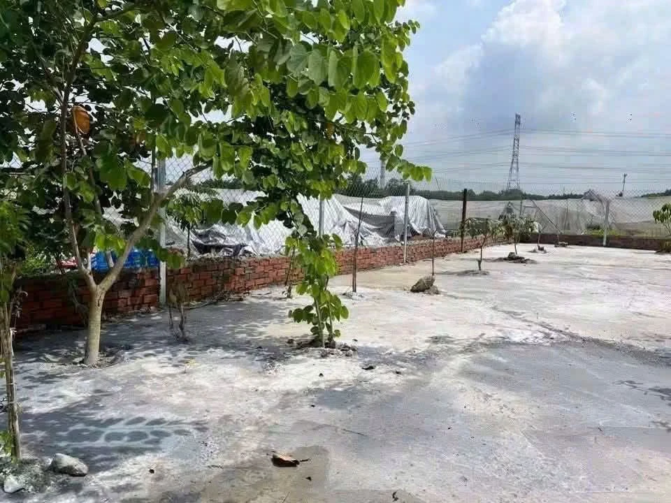 Bán đất thổ cư 240m² giá 1,4 tỷ tại phường Trảng Dài, Đồng Nai - Ảnh thu nhỏ 2