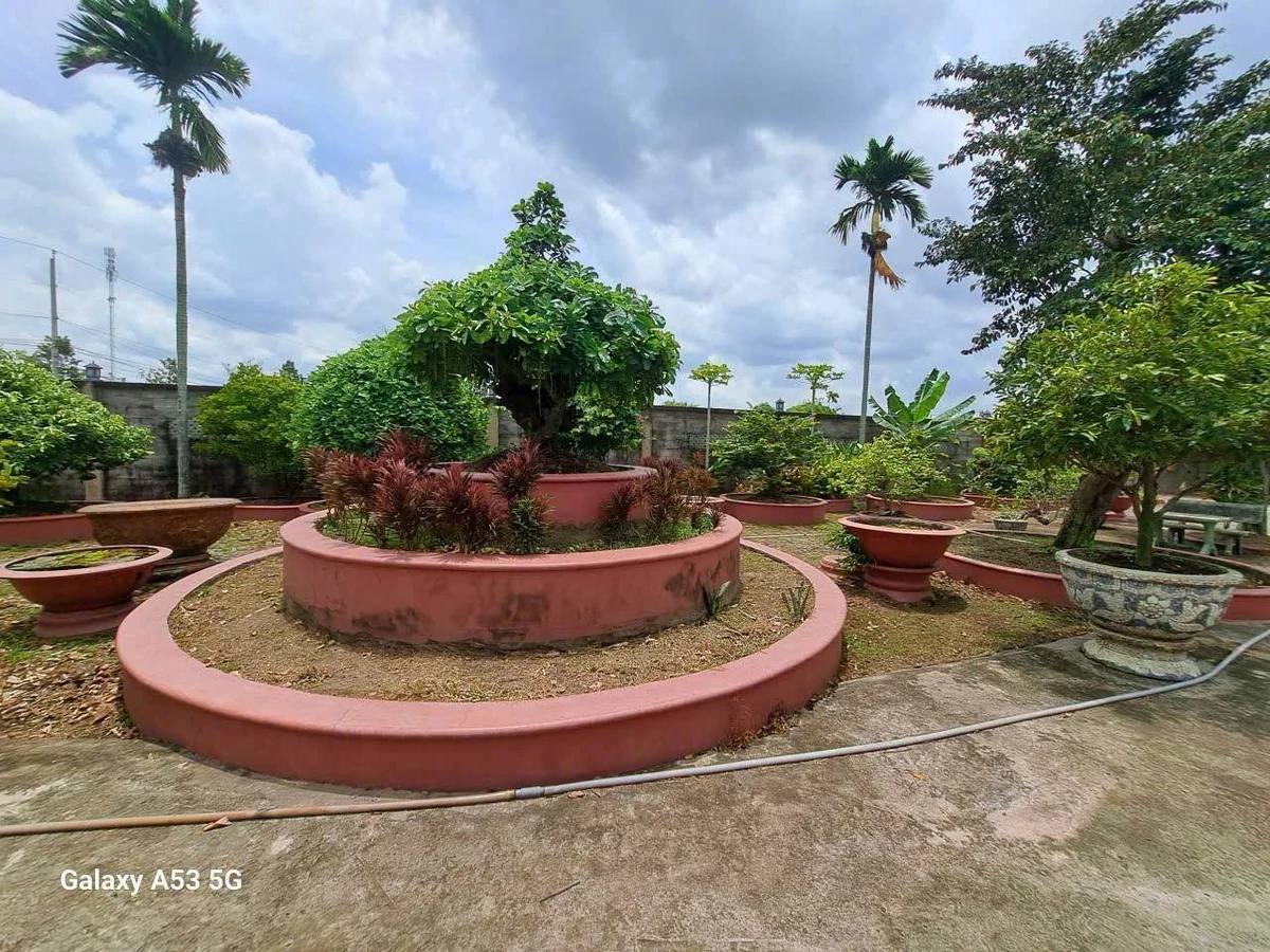 Bán nhà vườn 2200m² gần chợ Gò Đen, Bến Lức, Long An - Ảnh 1