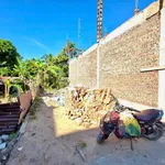 Bán đất Hòa Nghĩa 56,6m² giá 900 triệu - Ảnh thu nhỏ 1