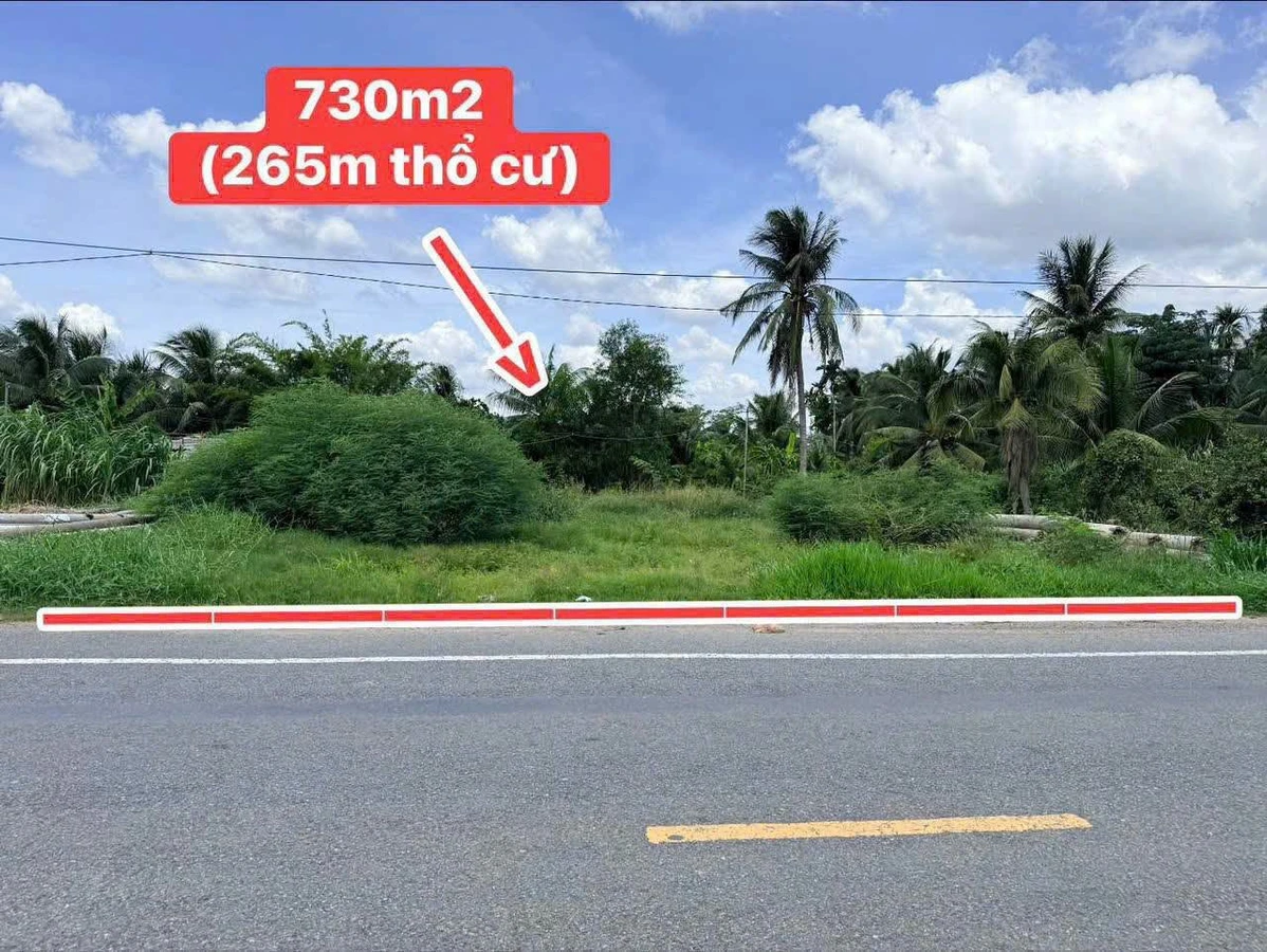Bán đất mặt tiền HL173 Cần Giờ 265m² - Ảnh thu nhỏ 2