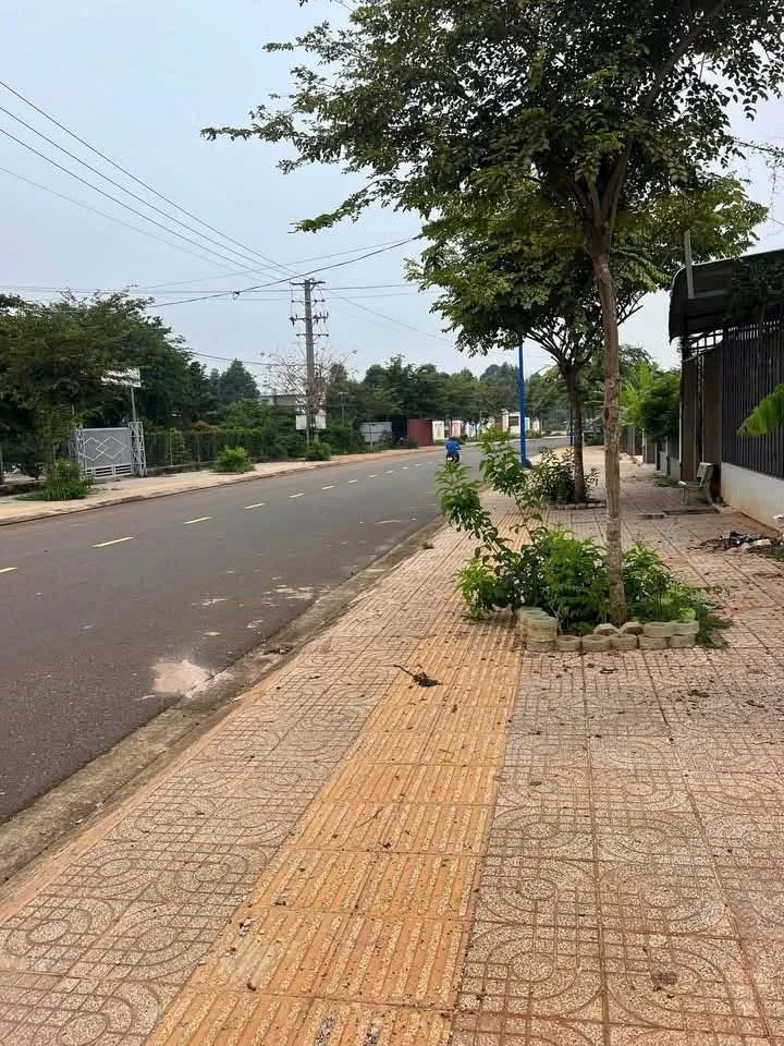 Bán đất 238m² có 100m² thổ cư, sổ hồng sẵn, giá 2,4 tỷ tại Long Phước, Thủ Đức - Ảnh thu nhỏ 2