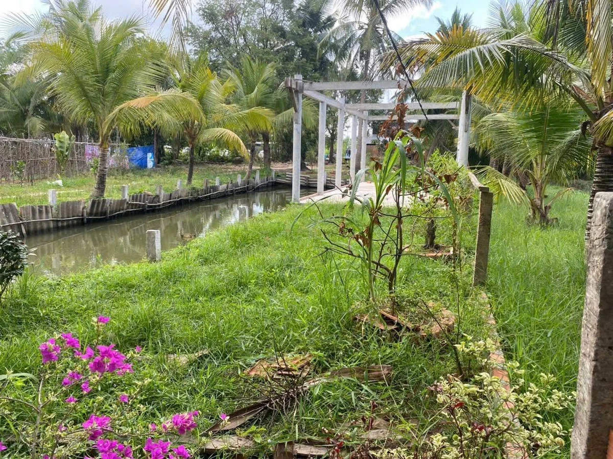 Bán đất 532m² Mỏ Cày, Bình Chánh, 900 triệu - Ảnh thu nhỏ 3