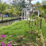 Bán đất 532m² Mỏ Cày, Bình Chánh, 900 triệu - Ảnh thu nhỏ 3
