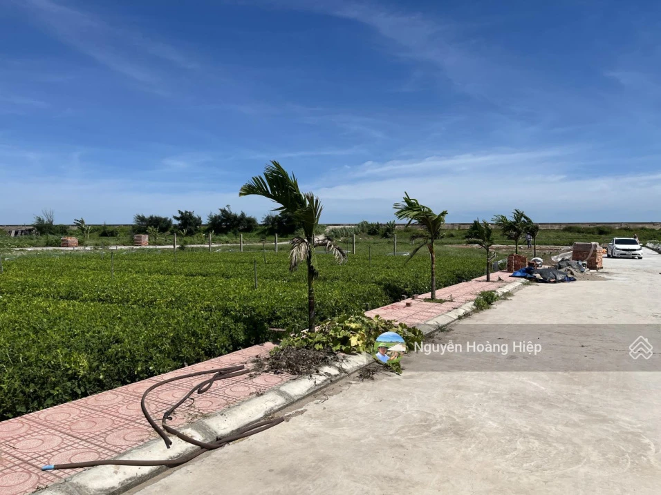 Bán gấp đất biển Quất Lâm Nam Định cách bãi tắm 100m, đường ôtô tránh cạnh khu du lịch giá 1.x tỷ - Ảnh thu nhỏ 3