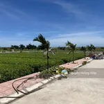Bán gấp đất biển Quất Lâm Nam Định cách bãi tắm 100m, đường ôtô tránh cạnh khu du lịch giá 1.x tỷ - Ảnh thu nhỏ 3