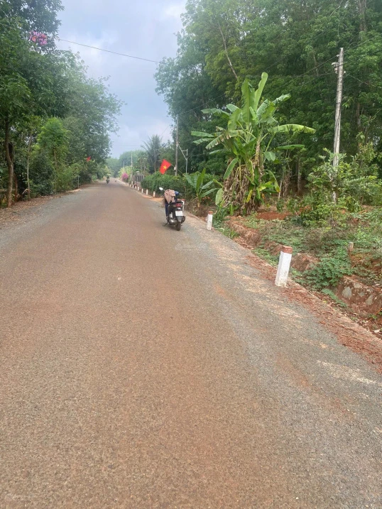 Bán đất mặt tiền đường nhựa, sổ hồng chính chủ, công chứng ngay - Ảnh 1