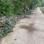 Bán đất vườn dừa và ruộng 11 công, Xã Phong Thạnh, Vĩnh Long - Ảnh thu nhỏ 1