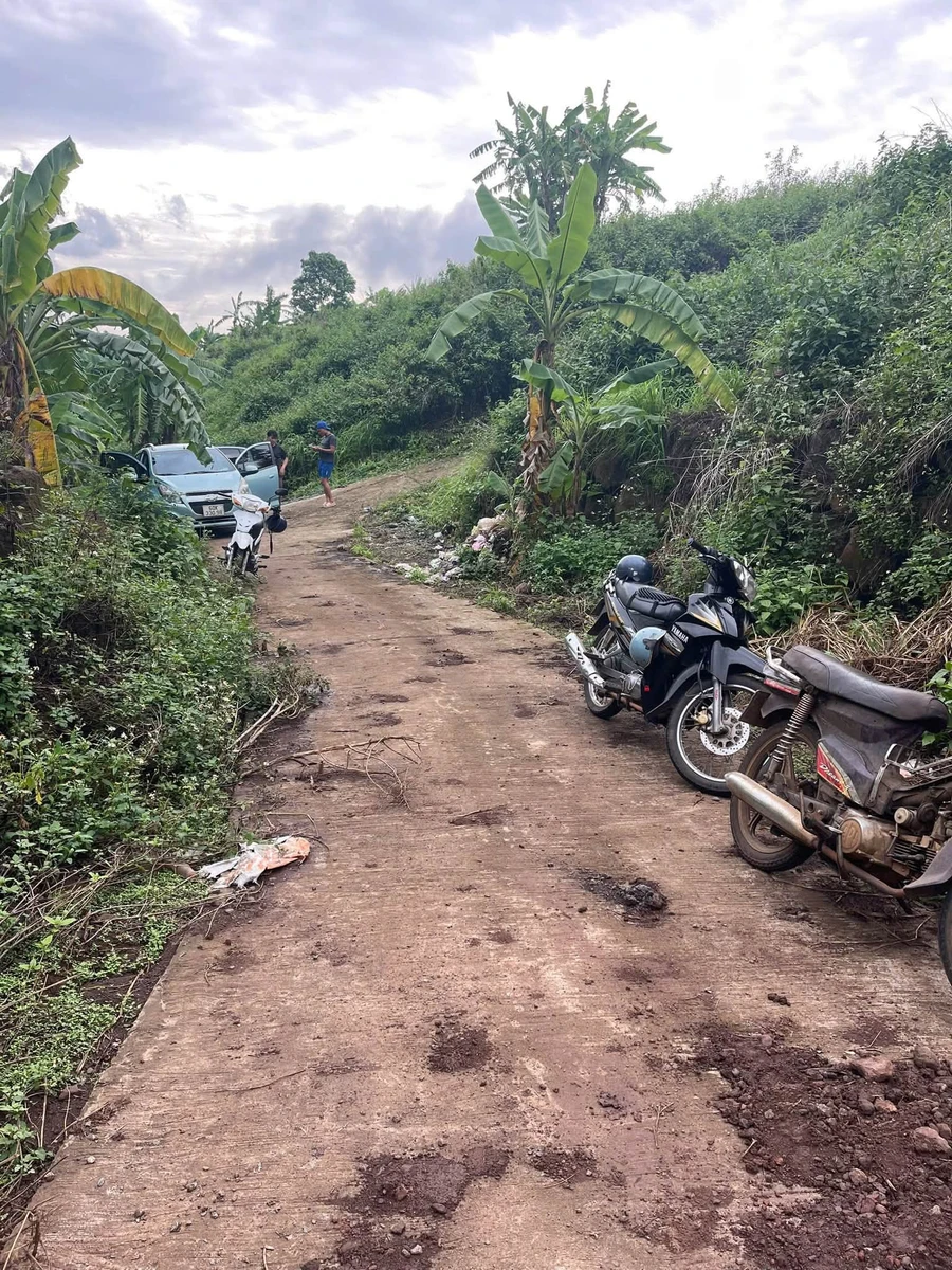 Bán đất 1.000m² mặt tiền Gia Kiệm, Đồng Nai 200 triệu - Ảnh thu nhỏ 3