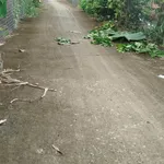 Bán đất thổ Phú Ngã Trị Châu Thành Long An 125m² 380 triệu - Ảnh thu nhỏ 1