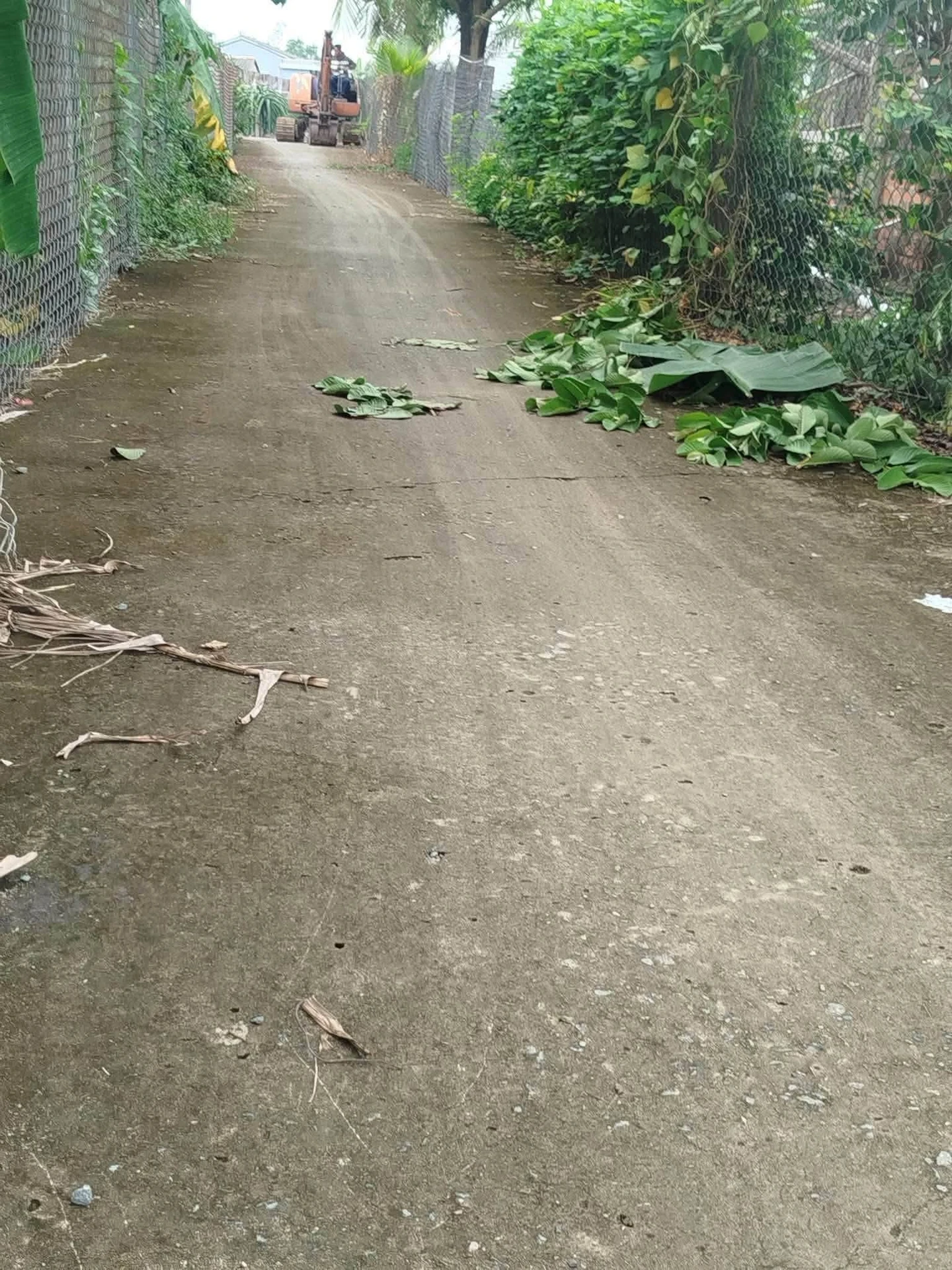 Bán đất thổ Phú Ngã Trị Châu Thành Long An 125m² 380 triệu - Ảnh 1