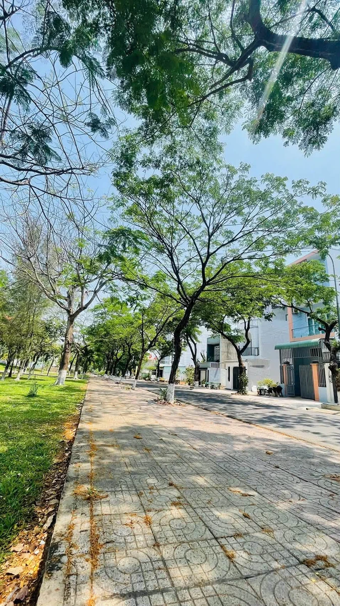 Bán đất 100m2 đường Nguyễn Trãi Trảng Bom 2 tỷ 600 triệu - Ảnh 1
