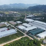 Bán đất 80m² mặt đường Lạc Thuỷ 600 triệu - Ảnh thu nhỏ 2