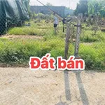Bán đất 112m2 (60m2 thổ cư) nhánh Đường số 2, Hoà Long, TP Bà Rịa, giá 1,29 tỷ - Ảnh thu nhỏ 2