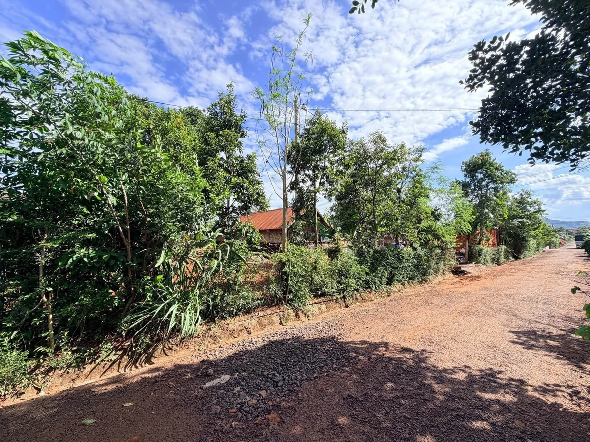 Bán đất 5x28m thổ cư 60m2 đường nhựa quy hoạch 12m thôn 6 Cuêbur, Buôn Ma Thuột - Ảnh thu nhỏ 2