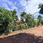 Bán đất 5x28m thổ cư 60m2 đường nhựa quy hoạch 12m thôn 6 Cuêbur, Buôn Ma Thuột - Ảnh thu nhỏ 2