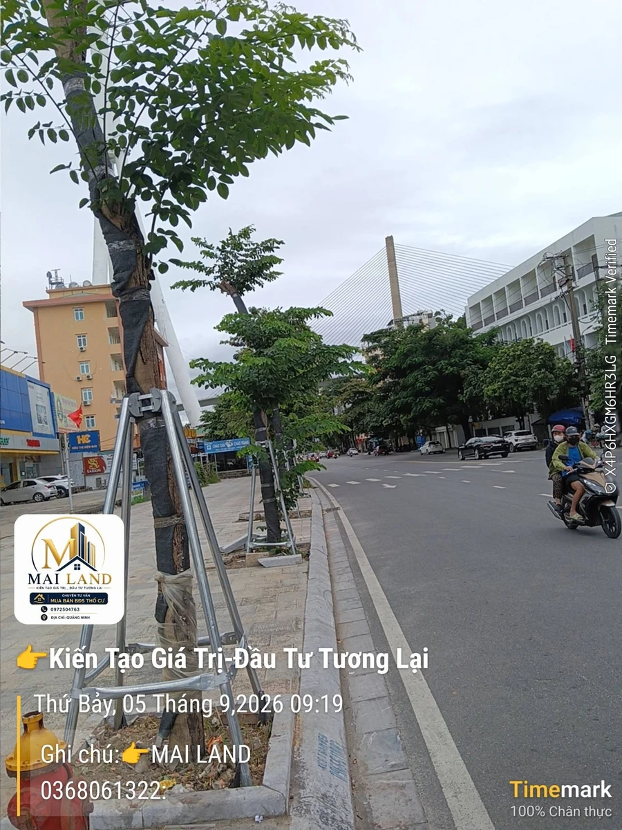 Bán nhà mặt phố Hạ Long 51m² view biển 6,5 tỷ - Ảnh 1
