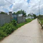 Bán đất Kênh Tập Đoàn 2, Phú Tân, Bến Tre, 177m² - Ảnh thu nhỏ 1