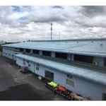 Chuyển nhượng nhà xưởng 15.059m² Bình Mỹ Củ Chi 160 tỷ - Ảnh thu nhỏ 4