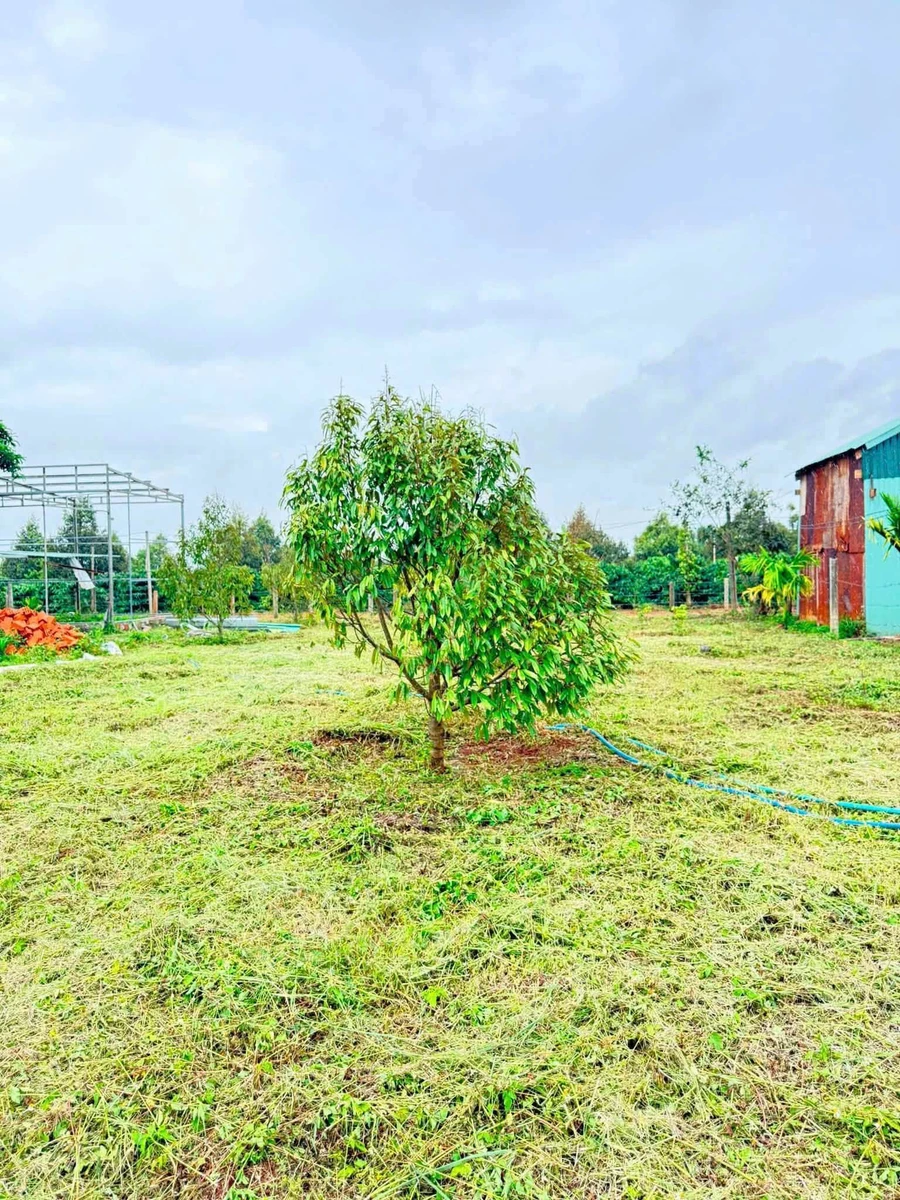 Bán gần 2 sào đất Hẻm Trương Định 1 tỷ, Quận 3 - Ảnh thu nhỏ 2