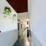 Bán dãy trọ 8 phòng 144m2 Lò Lu Q9 - 6,96 tỷ - Ảnh thu nhỏ 4