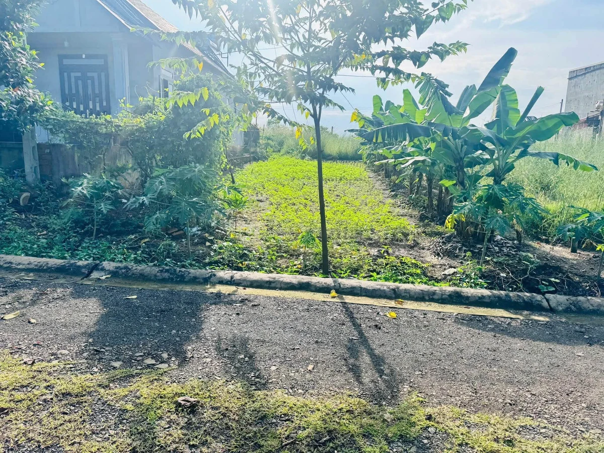 Bán đất TĐC Binh Đoàn 16 184m² chỉ 7xx triệu - Ảnh 1