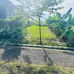 Bán đất TĐC Binh Đoàn 16 184m² chỉ 7xx triệu - Ảnh thu nhỏ 1
