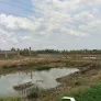 Bán đất tại Quản lộ Phụng Hiệp cách trung tâm hành chính xã 400m - Ảnh thu nhỏ 10