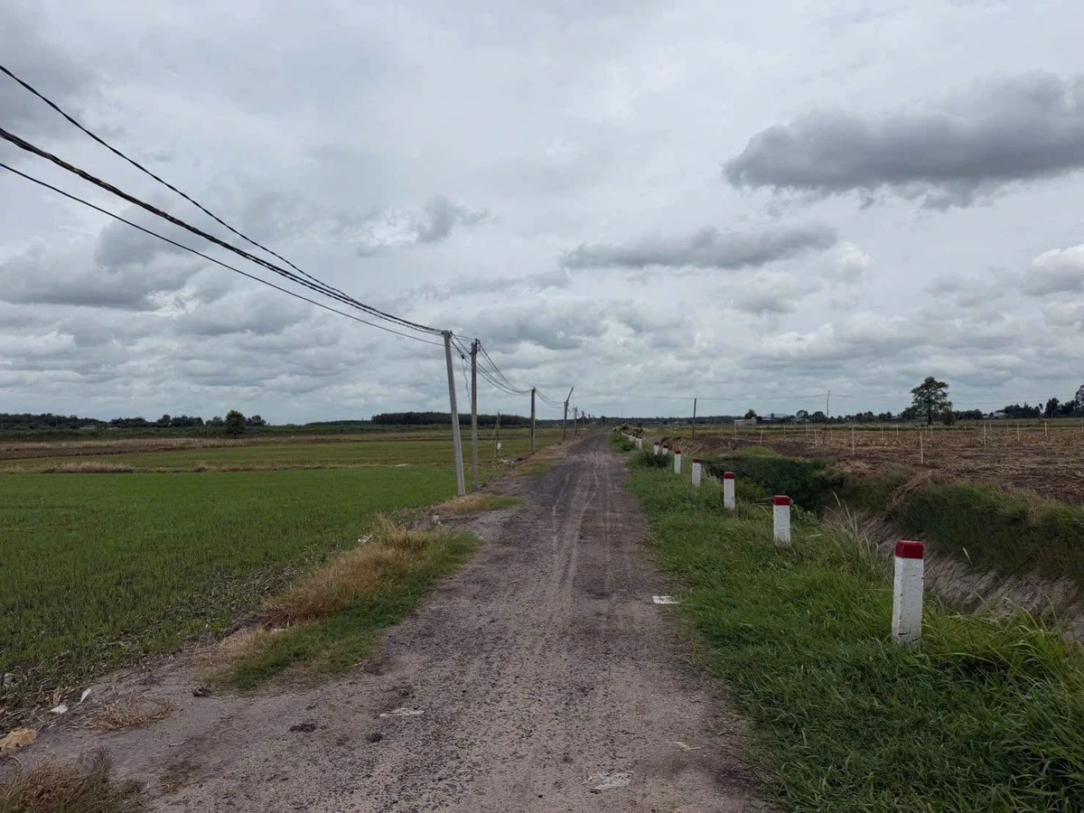 Bán đất vườn 1 công 275 triệu tại Suối Đá, Tây Ninh - Ảnh thu nhỏ 5