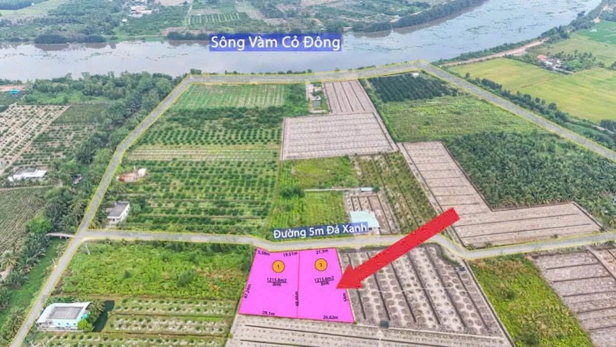 Bán đất 1215m2 giá 1,3 tỷ ở Bình Đức, Bến Lức - Ảnh thu nhỏ 2