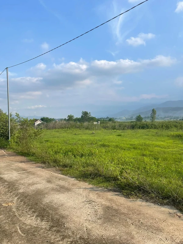 Bán 2,5ha đất CLN 2 mặt tiền tại Diên Lâm, Diên Khánh, Khánh Hòa giá 5,5 tỷ