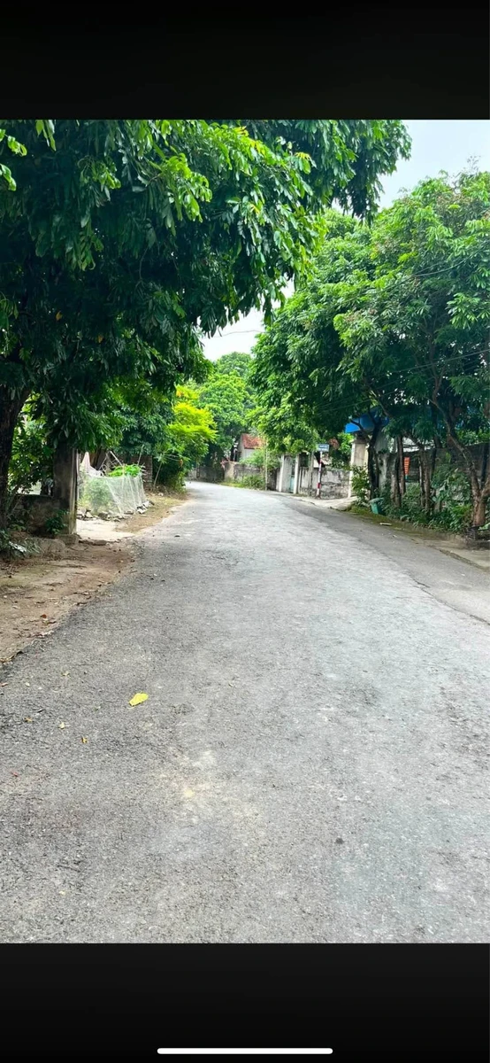 Bán lô đất 2 mặt tiền 421,3m² Thư Điền, Ninh Bình - Ảnh thu nhỏ 3