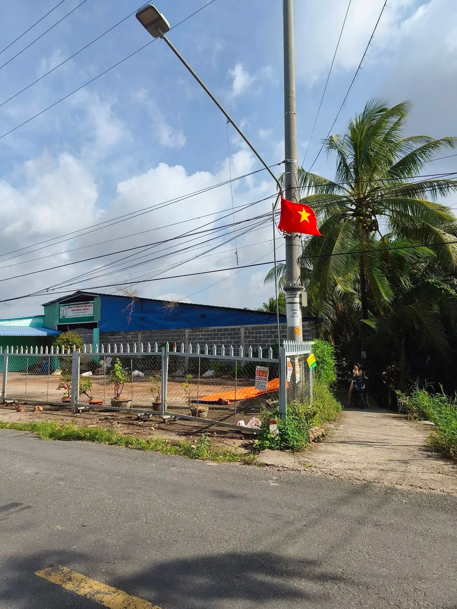 Bán gấp đất Giồng Trôm 1.605m² 600 triệu - Ảnh thu nhỏ 4