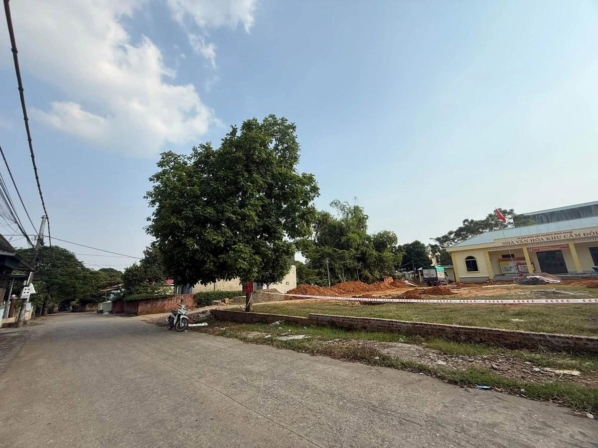Bán đất 100m² Cẩm Đội Thuỵ Vân sát chợ Sheshin - Ảnh thu nhỏ 2