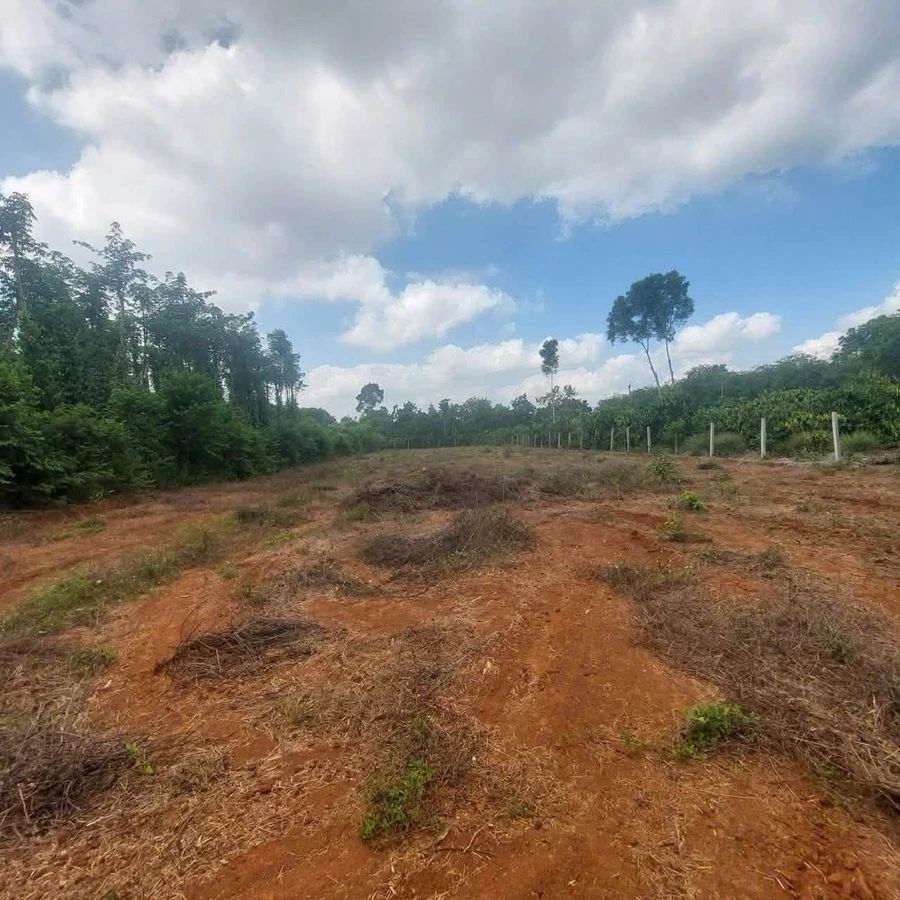 Bán đất Bình Giã 1.783m2, mặt tiền 20m - Ảnh thu nhỏ 3