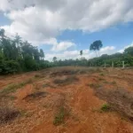 Bán đất Bình Giã 1.783m2, mặt tiền 20m - Ảnh thu nhỏ 3