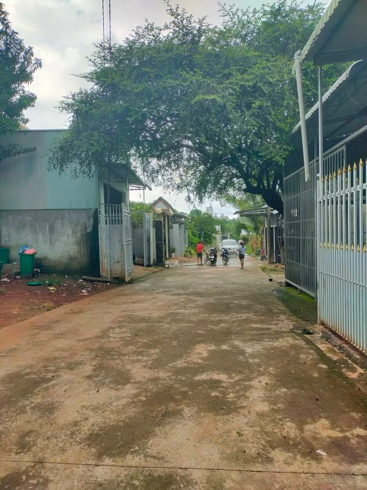 Bán lô đất 48,5m² khu phố 3 Nhà Tằm, Phước Bình, Đồng Nai - Ảnh 1