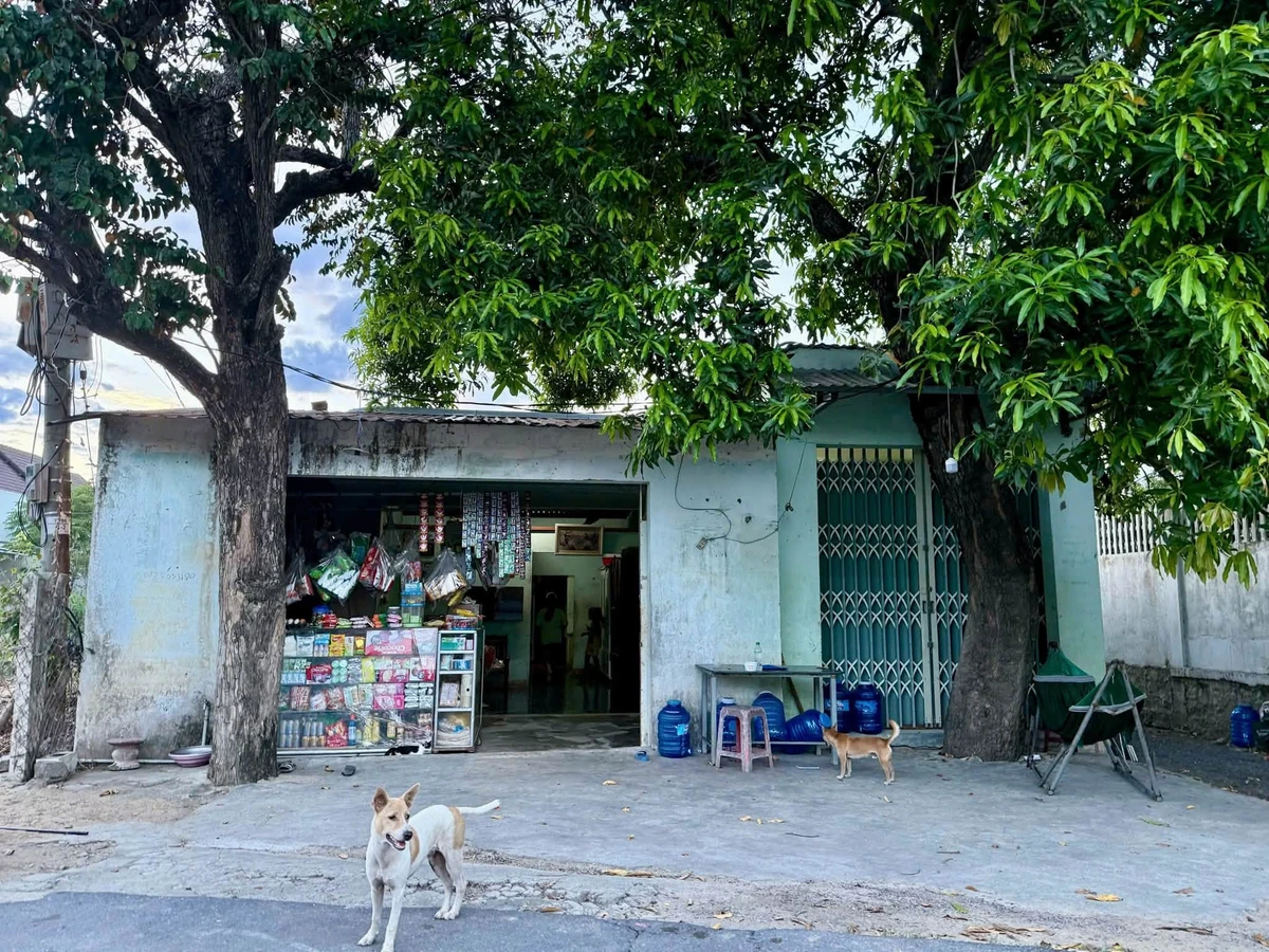 Bán đất 143m² 3 mặt tiền Diên Thạnh 1 tỷ 390 Khánh Hòa - Ảnh thu nhỏ 3