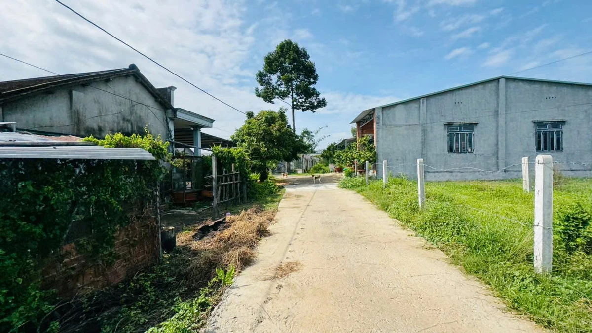 Bán đất full thổ cư 117m² Tây Ninh 579 triệu - Ảnh thu nhỏ 2