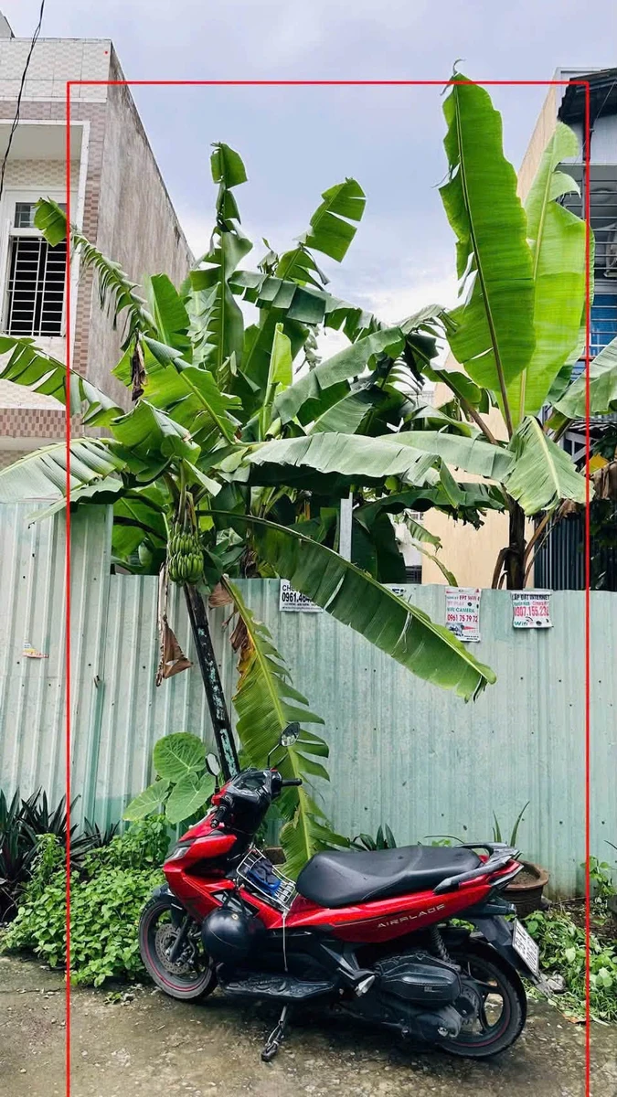 Bán đất nền Long Trường Quận 9, 82,5m² hướng Đông - Ảnh thu nhỏ 2