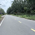 Bán đất Tân Bình 1176m² - 6,2 tỷ - Ảnh thu nhỏ 3