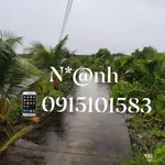 Bán đất Ngọc Hiển Cà Mau 36m² sổ hồng 1 tỷ 5 - Ảnh thu nhỏ 3
