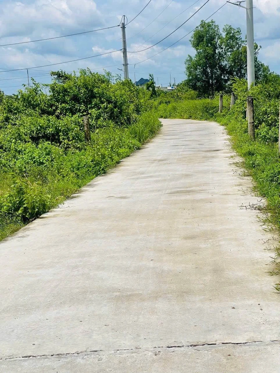 Bán đất 488m2 Thuận Thành Hàm Liêm Phan Thiết 450 triệu - Ảnh thu nhỏ 3