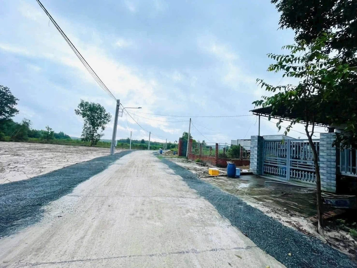 Bán đất gần 1 mẫu cao su Minh Hưng, Bình Chánh - Ảnh thu nhỏ 2