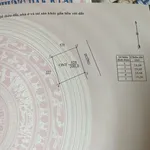 Bán đất lô góc 2 mặt tiền 200m2 trồng cà phê, tiêu tại Thôn 1, Đắk Wer, Đắk Nông - Ảnh thu nhỏ 1