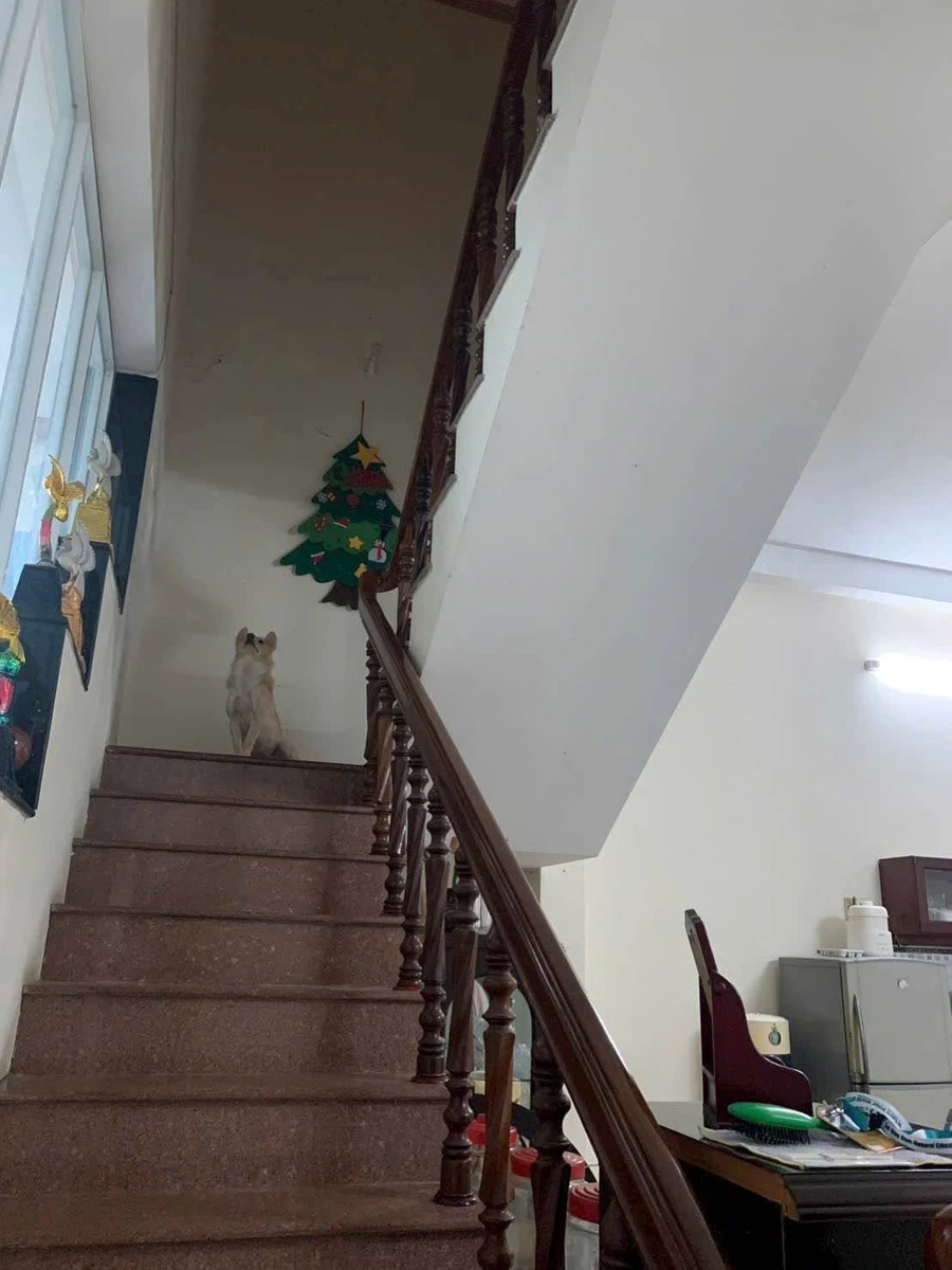 Bán nhà 1T1L 100m2 mặt tiền Trần Quang Diệu Lâm Đồng - Ảnh thu nhỏ 4