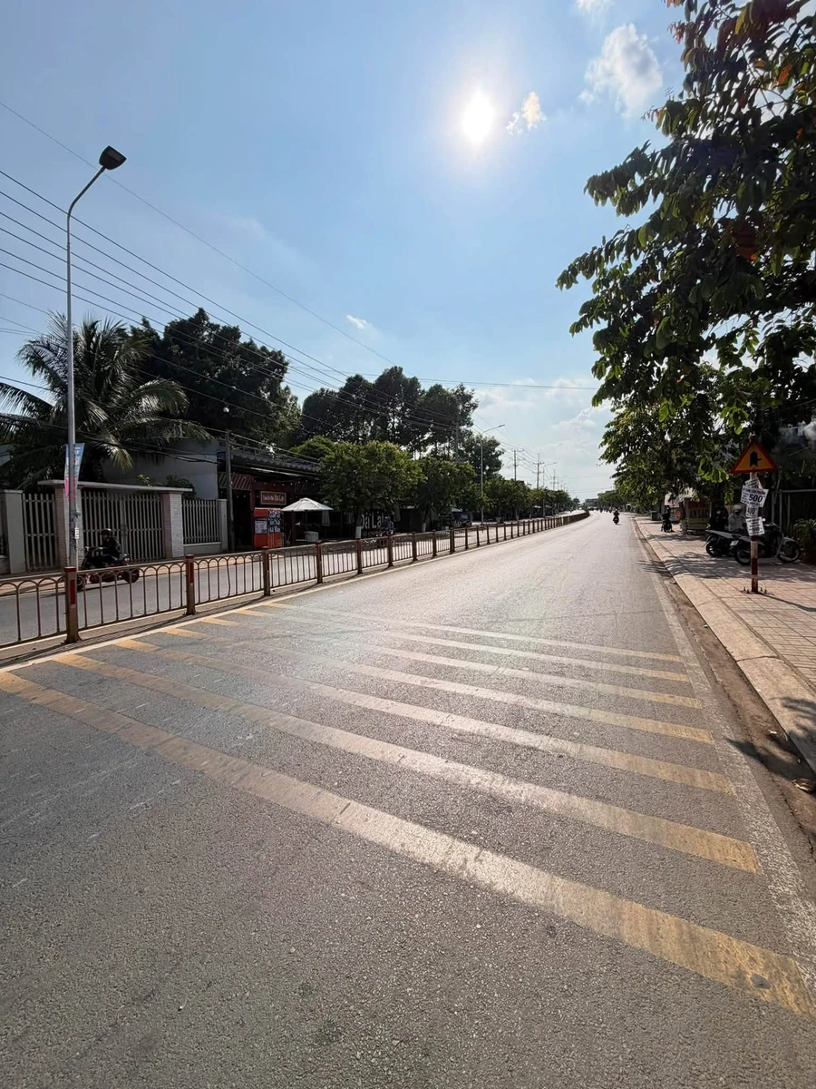 Bán đất góc 2 mặt tiền 684m2 Hồ Thị Hương, Bình Chánh - Ảnh thu nhỏ 5